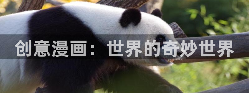 喵趣漫画,