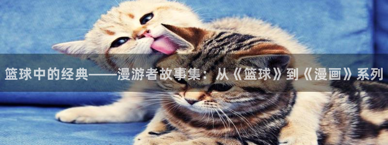 喵趣为什么打不开