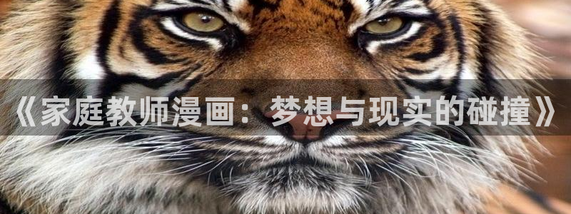喵趣漫画无删减