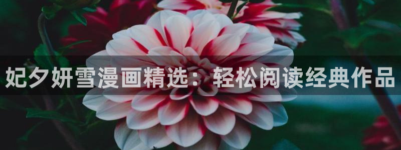 喵趣漫画怎么搜索漫画