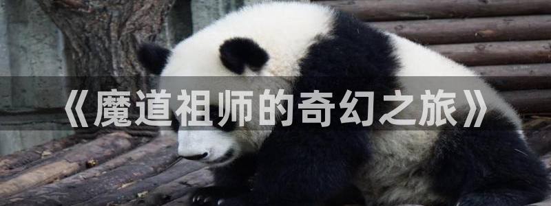 喵趣漫画最新版官网