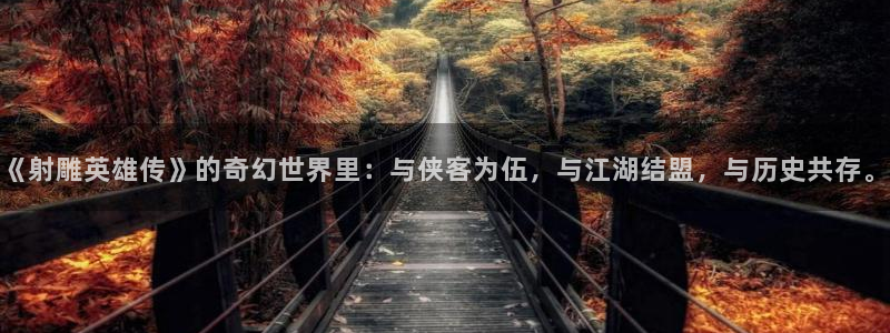 喵趣网站