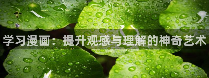 www.喵趣com