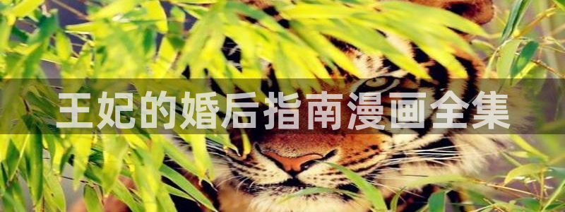 喵趣漫画网页官方