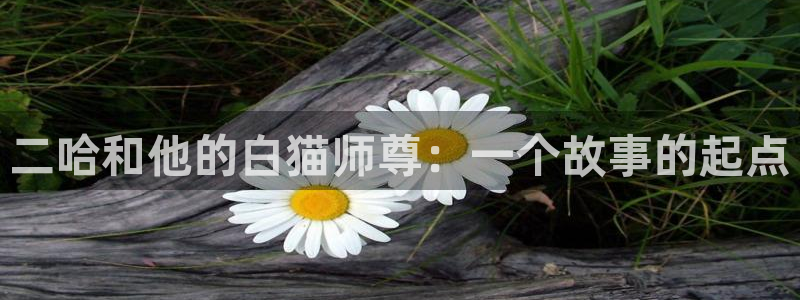 喵趣漫画最新版2026