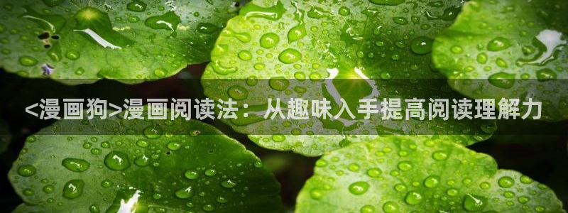 喵趣动漫正版下载