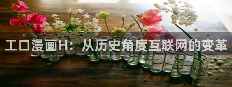 喵趣动漫安装