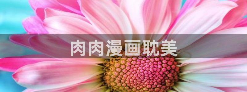 喵趣动漫下载