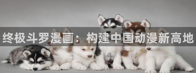 www. 喵趣.top