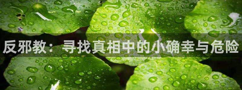 喵趣玩