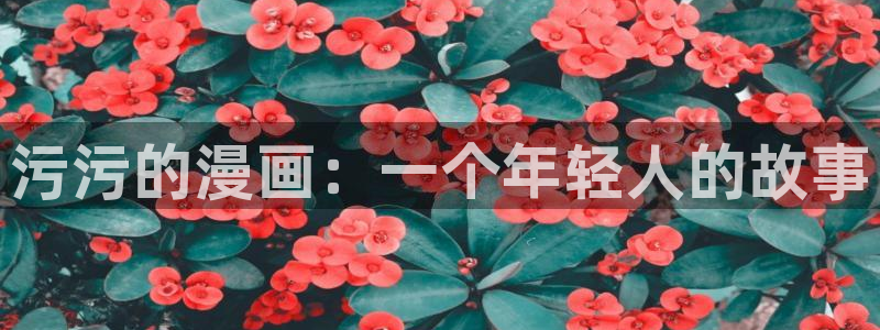 有喵趣