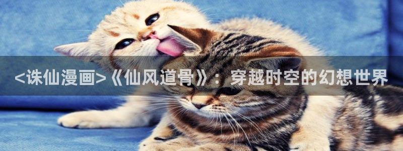 喵趣漫画1.1.2.2