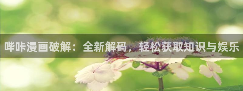 喵趣漫画网：哔咔漫画破解：全新解码，轻松获取知识与娱乐