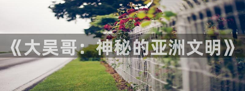 喵趣漫画老版本：《大吴哥：神秘的亚洲文明》
