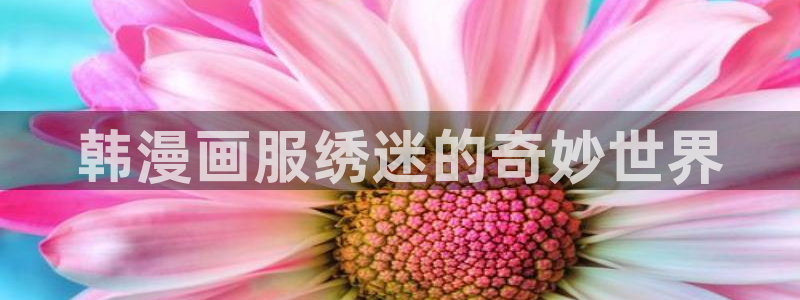 喵趣漫蛙：韩漫画服绣迷的奇妙世界