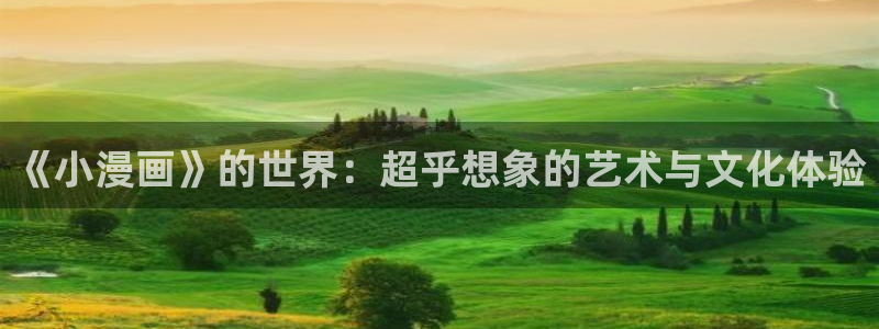 www. 喵趣.com：《小漫画》的世界：超乎想象的艺术与文化体验